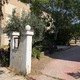 Αποκομιδή Κλαδιών Αλκυόνος