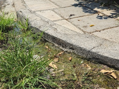 Διαρροή ισως λυμματων;  	Στη διασταύρωση Βοσπόρου με Θεραπειών, κινουμενος επι της Θεραπειών στα αριστερα και κινουμενος επι της Βοσπορου στα αριστερα