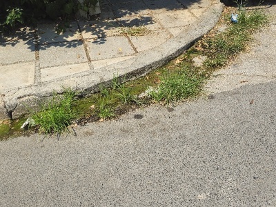 Διαρροή ισως λυμματων;  	Στη διασταύρωση Βοσπόρου με Θεραπειών, κινουμενος επι της Θεραπειών στα αριστερα και κινουμενος επι της Βοσπορου στα αριστερα