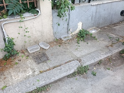 Βρωμια κ δυσοδια