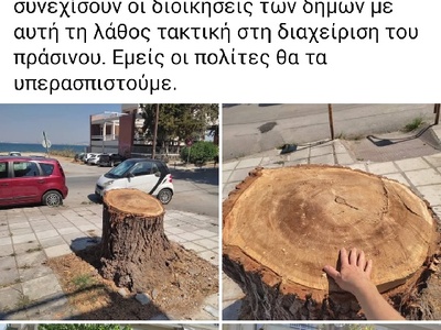 κοπη δέντρων