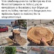κοπη δέντρων