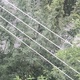 κλαδια στα καλώδια του ρεύματος  Πουλαντζακη