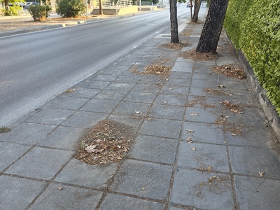τρυπες στο πεζοδρόμιο  	Μητροπολίτου Γρηγορίου Κυδωνιών