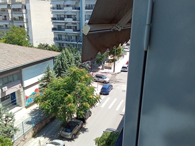 Δένδρα άρρωστα   Φιλελλήνων    Μ. Αλεξάνδρου