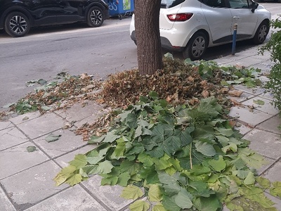 καθαρισμα φυλλων απο πεζοδρομιο
