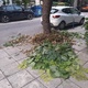 καθαρισμα φυλλων απο πεζοδρομιο