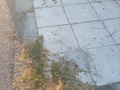 Παιδιά βανδάλισαν πάρκο στην οδό Λουκιανού