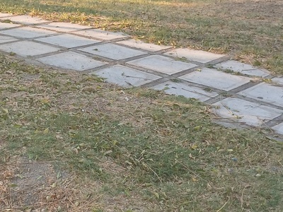 Παιδιά βανδάλισαν πάρκο στην οδό Λουκιανού