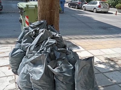 Αποκομιδή μπαζων  Παπαδιαμάντη