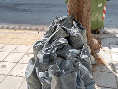 Αποκομιδή μπαζων  Παπαδιαμάντη