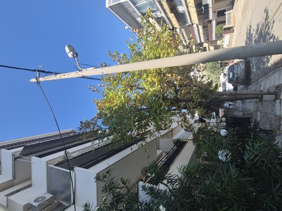 ΕΠΕΙΓΟΝ  ΕΠΙΚΙΝΔΥΝΑ ΔΕΝΤΡΑ ΜΕ ΚΛΑΔΙΑ ΣΤΑ ΚΑΛΩΔΙΑ ΗΛΕΚΤΡΙΚΟΥ ΙΕΡΟΣΟΛΥΜΩΝ 3