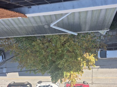 ΕΠΕΙΓΟΝ  ΕΠΙΚΙΝΔΥΝΑ ΔΕΝΤΡΑ ΜΕ ΚΛΑΔΙΑ ΣΤΑ ΚΑΛΩΔΙΑ ΗΛΕΚΤΡΙΚΟΥ ΙΕΡΟΣΟΛΥΜΩΝ 3