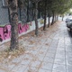 πευκοβελόνες στο πεζοδρόμιο