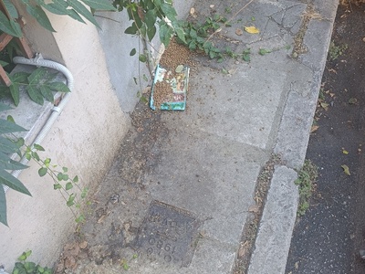 Βρωμιά