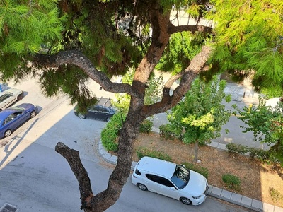 Κλαδεμα επικινδυνου δεντρου