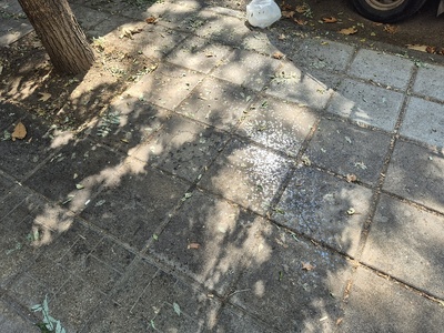 Καθαρισμός πεζοδρομίου και κάδων απορριμάτων