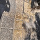ΑΡΡΩΣΤΑ ΔΕΝΤΡΑ  ΕΠΙ ΤΗΣ ΟΔΟΥ