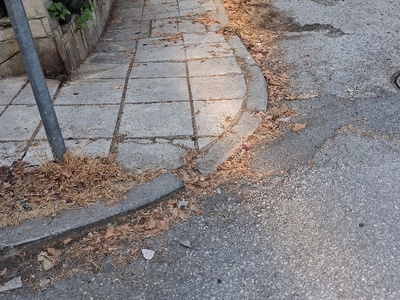 κυζικου