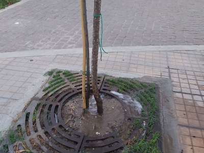 χαλασμένο ποτιστικό