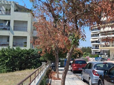Ξερά Δέντρα στην Αλαμάνας