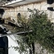 Κοπή χόρτων σε πεζοδρόμιο άμεσα  Ανδρούτσου 53