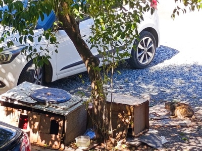 Βρωμιά  Παύλου Καρολίδου 2