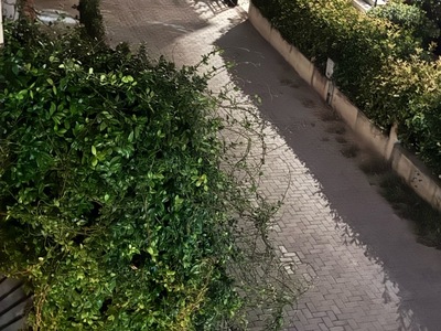 Κολώνα Δεή φωτισμός  	Αλεξ Δεληγιαννίδη