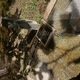 ΠΡΟΒΛΗΜΑ ΜΕ ΦΡΕΑΤΙΟ   Δημητριου Στρογγυλη - Γεννηματα