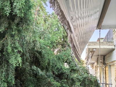 κλαδια χτυπουν στα μπαλκόνια  Πουλαντζακη