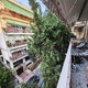 κλαδια χτυπουν στα μπαλκόνια  Πουλαντζακη