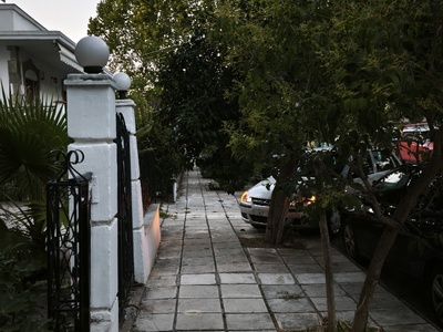 Κλάδεμα δεντρου  Παπαπέτρου