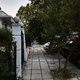 Κλάδεμα δεντρου  Παπαπέτρου