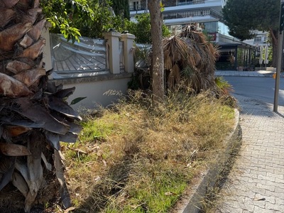 αιτημα κοπης χορταριων  Νικολάου Πλαστήρα