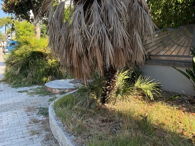 αιτημα κοπης χορταριων  Νικολάου Πλαστήρα