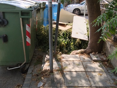 κλαδιά και έπιπλα  Αγίου Νικολάου & Χρυσοστόμου Σμύρνης,