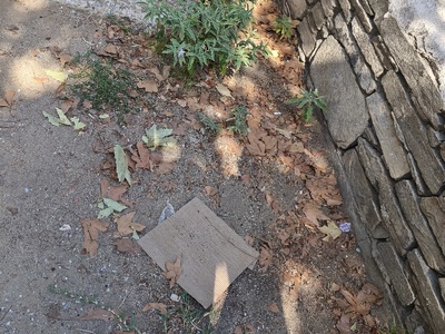 Ίδια εικονα   με πριν τις διακοπές   παιδική χαρά  Μπάλα 2