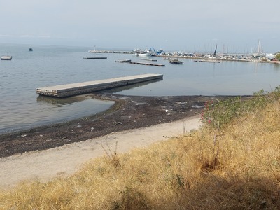Καθαρισμός αιγιαλού Νεας Κρηνης!!