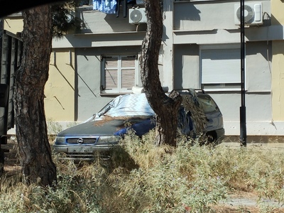 ΚΟΠΗ ΑΥΤΟΦΥΟΥΣ ΒΛΑΣΤΗΣΗΣ ΣΤΗΝ ΕΘΝΙΚΗΣ ΑΝΤΙΣΤΑΣΕΩΣ ΜΕ ΚΝΩΣΟΥ ΓΩΝΙΑ