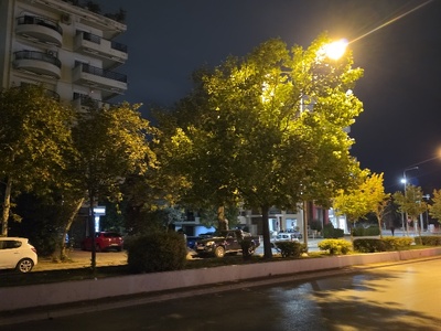 ακουρευτα δεντρα  Μητροπολίτου Γρηγορίου Κυδωνιών 24