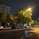 ακουρευτα δεντρα  Μητροπολίτου Γρηγορίου Κυδωνιών 24