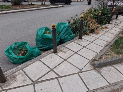 καθαρισμα  Παπαφλεσσα 42