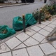 καθαρισμα  Παπαφλεσσα 42