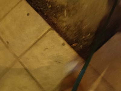 πεζοδρόμιο σπασμενο  Ελευθερίου Βενιζέλου 33,