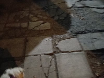 σπασμένο πεζοδρόμιο  Μεγάλου Αλεξάνδρου 40