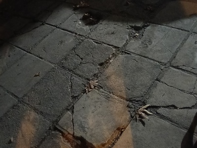 σπασμένο πεζοδρόμιο  Μεγάλου Αλεξάνδρου 40