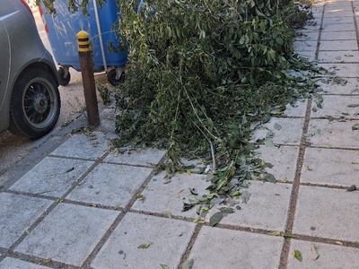 αμμεσα κλαδια   Καυκασου 28