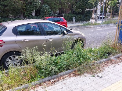 απεριποιητα παρτέρια  Αριστοφάνους 1
