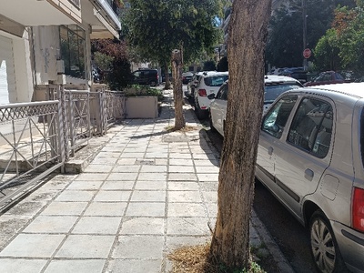 ξερίζωμα σάπιων δέντρων και φύτευση νέων  Σεβαστειας