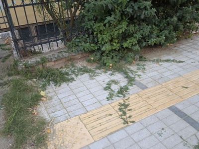 καθαρισμα και την αμμο   Δημητρίου Καραόλη